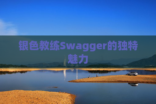 银色教练Swagger的独特魅力